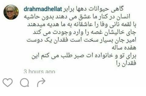 موج پیام تسلیت برای سگ بازیگر ایرانی! +عکس موج پیام تسلیت برای سگ بازیگر ایرانی! +عکس