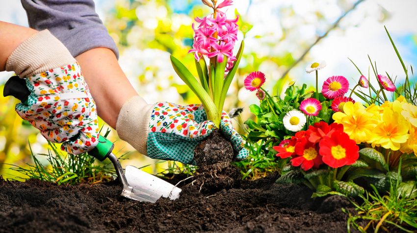 ۵۰ ایده کسب و کار برای کارآفرینان درونگرا ۵۰ ایده کسب و کار برای کارآفرینان درونگرا