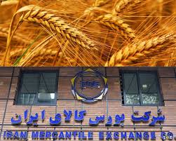 آینده روشن گندم در بورس کالا آینده روشن گندم در بورس کالا