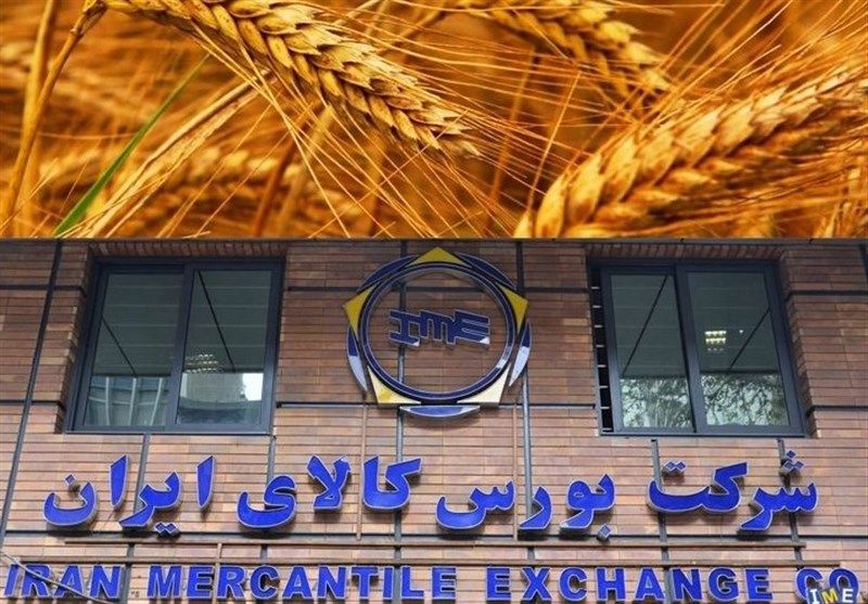 نقدی بر سیاست قیمت تضمینی به جای خرید تضمینی گندم نقدی بر سیاست قیمت تضمینی به جای خرید تضمینی گندم