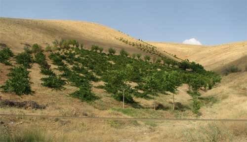 امهال تسهیلات کشاورزان خسارتدیده ناشی از حوادث غیرمترقبه استان آذربایجان شرقی امهال تسهیلات کشاورزان خسارتدیده ناشی از حوادث غیرمترقبه استان آذربایجان شرقی