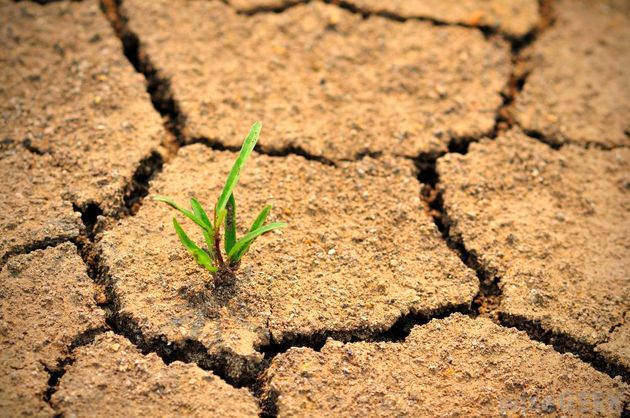پروژههای مشترک بیابانزدایی در ایران اجرایی شدهاست پروژههای مشترک بیابانزدایی در ایران اجرایی شدهاست