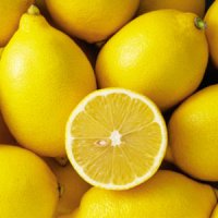 کاشت لیموی پارسی چاره رهایی از جاروک جادوگر کاشت لیموی پارسی چاره رهایی از جاروک جادوگر