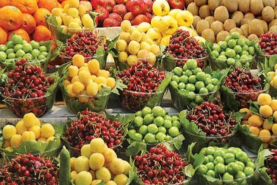 سردرختیهای تابستانه امسال به بازار نرسید سردرختیهای تابستانه امسال به بازار نرسید