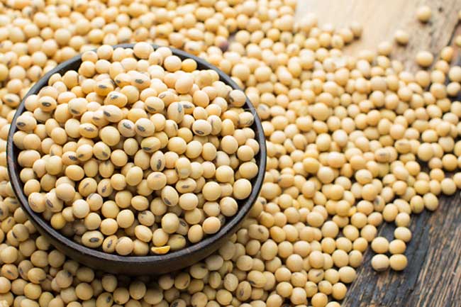 در ماه ژوئن واردات دانه سویا به چین جهش کرد در ماه ژوئن واردات دانه سویا به چین جهش کرد