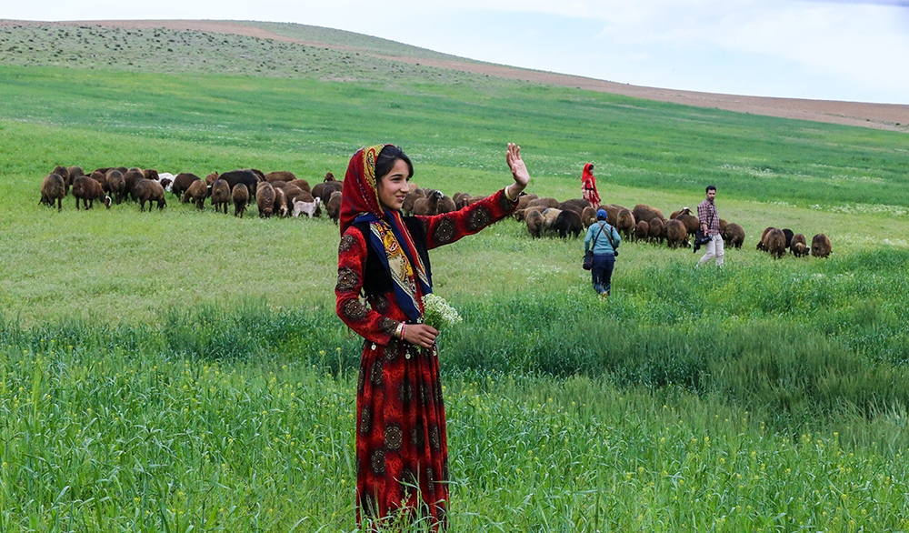 اسکان داوطلبانه ۹۰هزار خانوار عشایری اسکان داوطلبانه ۹۰هزار خانوار عشایری