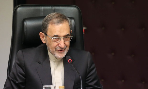 ولایتی: ملت از دولت حمایت میکند ولایتی: ملت از دولت حمایت میکند