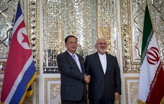 وزیر خارجه کره شمالی با ظریف دیدار کرد وزیر خارجه کره شمالی با ظریف دیدار کرد