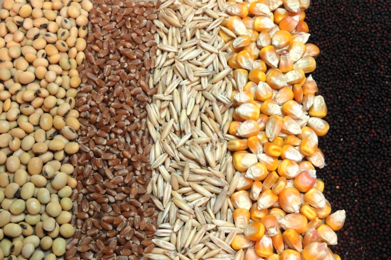 2میلیون و 300هزار تن نهاده برای توزیع خریداری شد 2میلیون و 300هزار تن نهاده برای توزیع خریداری شد