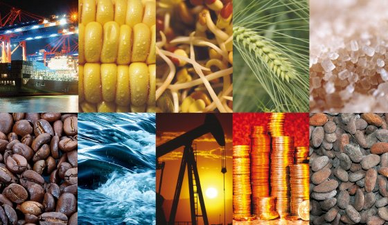 توانایی بورسکالا در رفع التهاب ناشی از قیمتهای دستوری توانایی بورسکالا در رفع التهاب ناشی از قیمتهای دستوری