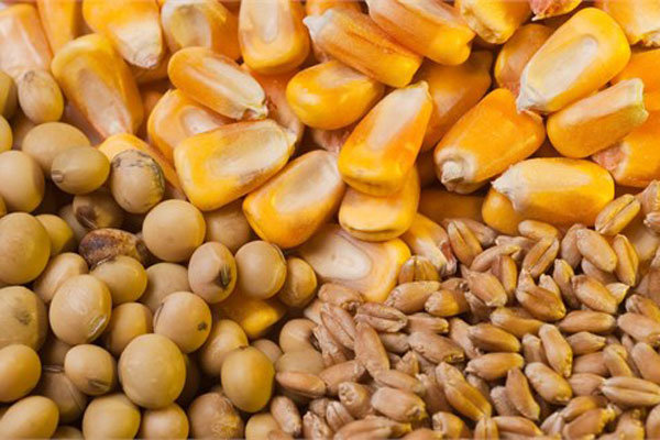 واردات سالیانه بیش از ۴ میلیارد دلار نهاده های دامی به کشور واردات سالیانه بیش از ۴ میلیارد دلار نهاده های دامی به کشور