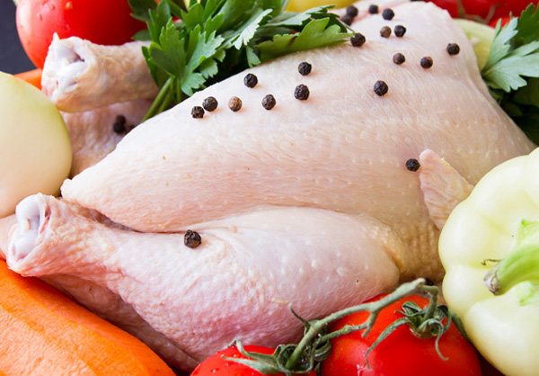 صادرات پودر گوشت مرغ بلامانع است صادرات پودر گوشت مرغ بلامانع است