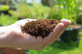 ماجرای صادرات سهم کود کشاورزان ایرانی چیست؟ ماجرای صادرات سهم کود کشاورزان ایرانی چیست؟