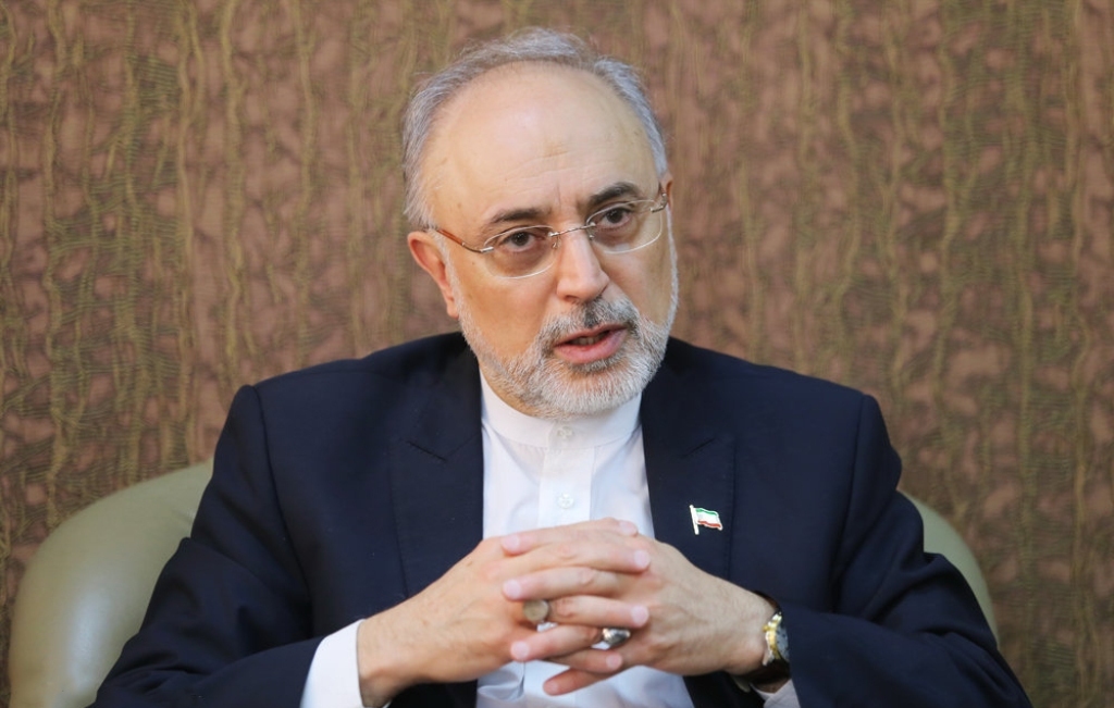 رییس سازمان انرژی اتمی وارد وین شد رییس سازمان انرژی اتمی وارد وین شد