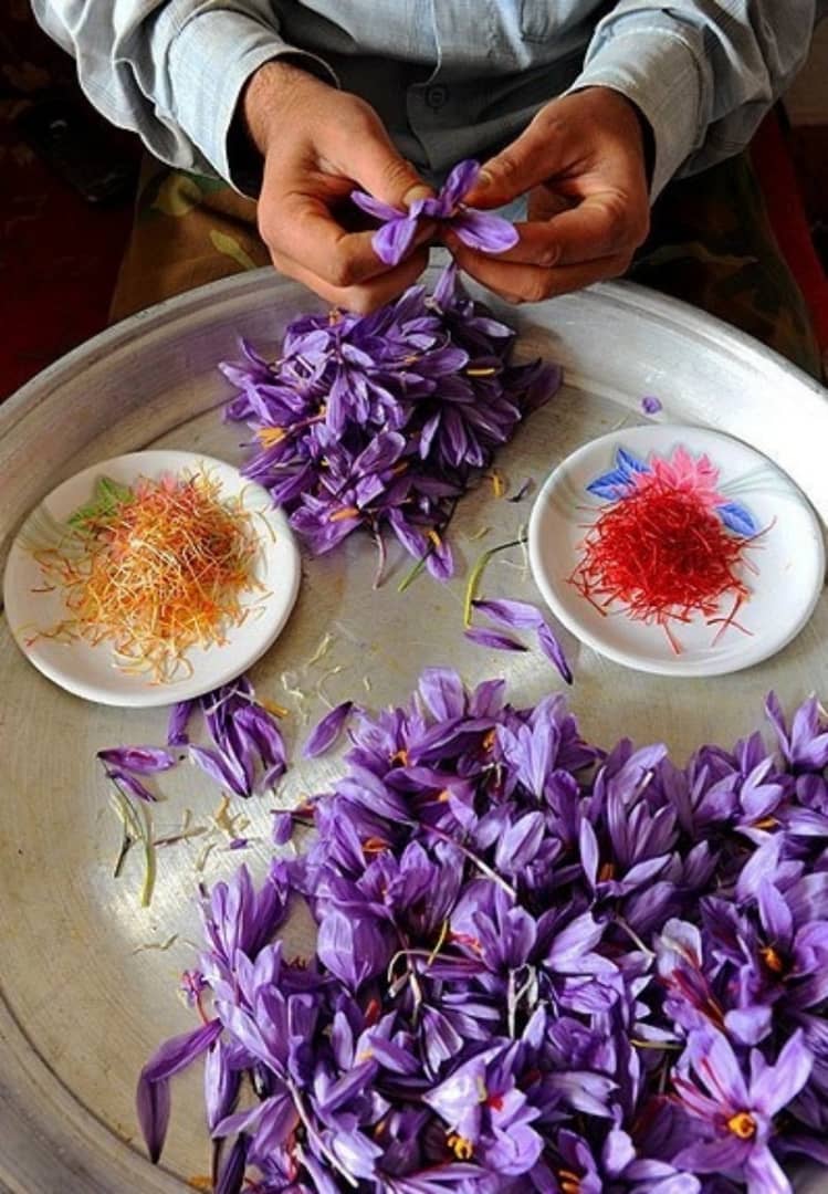 افزایش وجه تضمین اولیه قراردادهای آتی زعفران رشتهای به 330هزار تومان افزایش وجه تضمین اولیه قراردادهای آتی زعفران رشتهای به 330هزار تومان