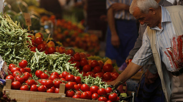 قیمت گوجه فرنگی متعادلتر میشود قیمت گوجه فرنگی متعادلتر میشود