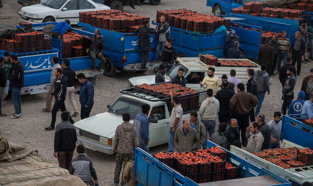 ۶۳کامیون گوجهفرنگی جهت توزیع در بازار تحویل تعزیرات شد ۶۳کامیون گوجهفرنگی جهت توزیع در بازار تحویل تعزیرات شد