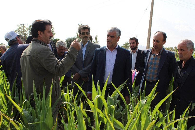 تجهیز ۲۰۳هزار هکتار از اراضی به سامانههای نوین آبیاری تجهیز ۲۰۳هزار هکتار از اراضی به سامانههای نوین آبیاری