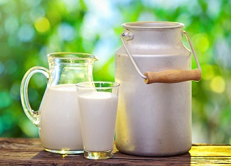 فروشندگان لبنیات سنتی شناسنامهدار میشوند فروشندگان لبنیات سنتی شناسنامهدار میشوند