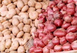 قیمت سیب زمینی به ۵۵۰۰تومان رسید قیمت سیب زمینی به ۵۵۰۰تومان رسید