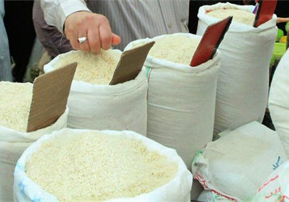 افزایش قیمتی در برنج ایرانی و وارداتی نداشتیم افزایش قیمتی در برنج ایرانی و وارداتی نداشتیم