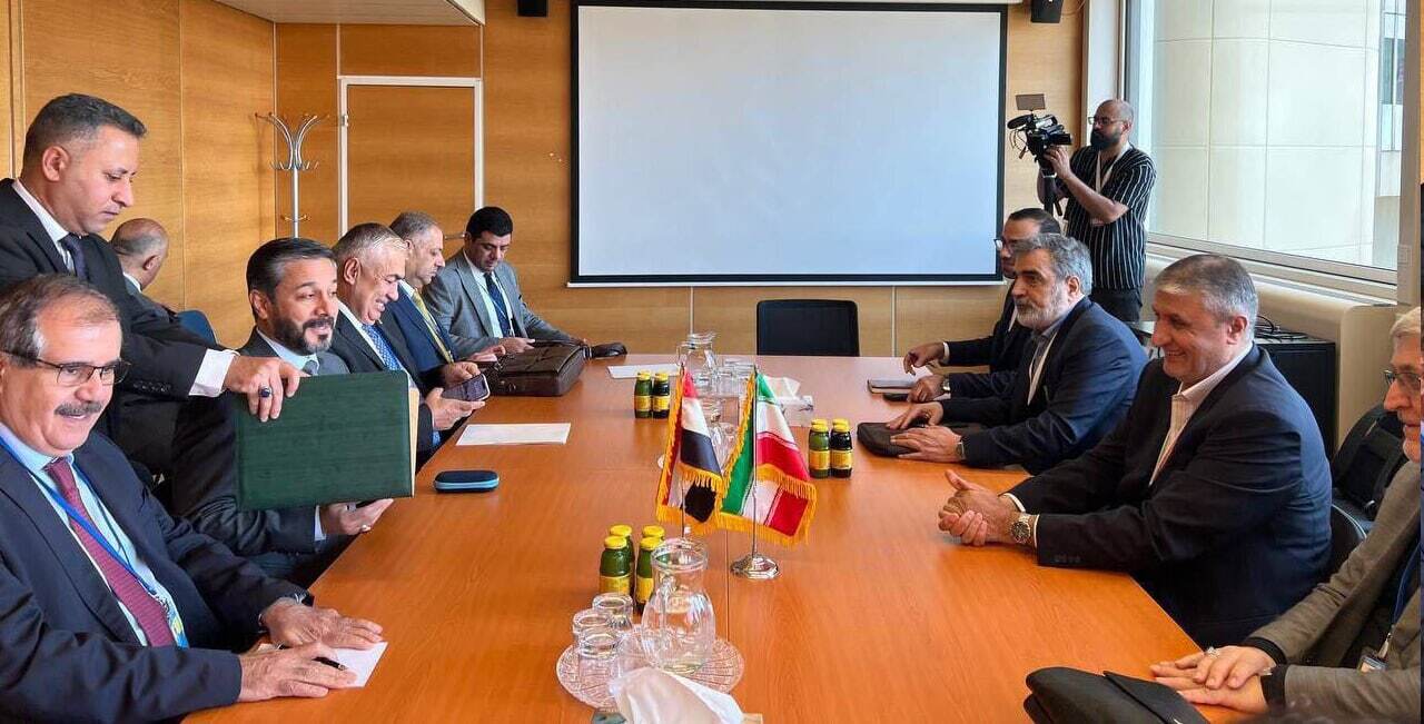 AEOI chief emphasizes expanding peaceful nuclear diplomacy AEOI chief emphasizes expanding peaceful nuclear diplomacy