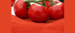 محصولی با درآمد عالی و زودبازده