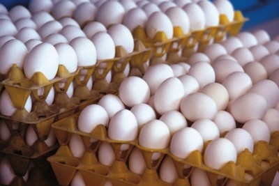 قیمت رسمی مرغ و تخم مرغ اعلام شد قیمت رسمی مرغ و تخم مرغ اعلام شد
