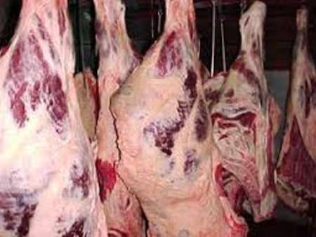 عرضه دولتی گوشت تازه کیلویی ۳۱ هزار و ۵۰۰ تومان عرضه دولتی گوشت تازه کیلویی ۳۱ هزار و ۵۰۰ تومان