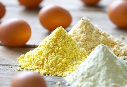 تولید پودر تخم مرغ؛ سرمایه گذاری پرسود و تاثیرگذار تولید پودر تخم مرغ؛ سرمایه گذاری پرسود و تاثیرگذار