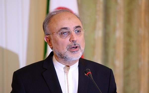 صالحی: موضع ترامپ درباره برجام را جدی نمیگیریم صالحی: موضع ترامپ درباره برجام را جدی نمیگیریم