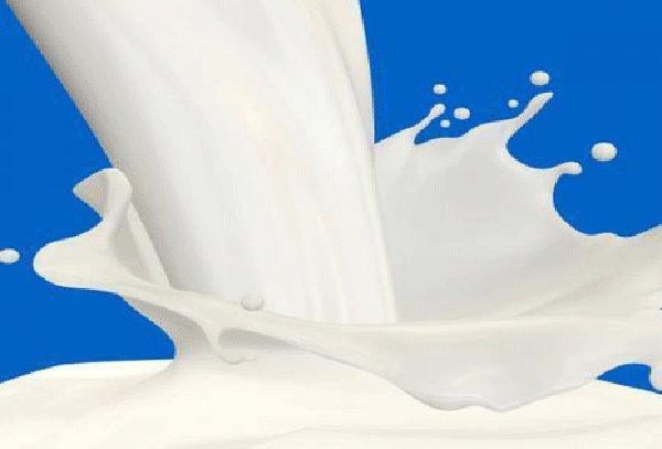 فعالیت واحدهای لبنی سنتی گسترش مییابد! فعالیت واحدهای لبنی سنتی گسترش مییابد!