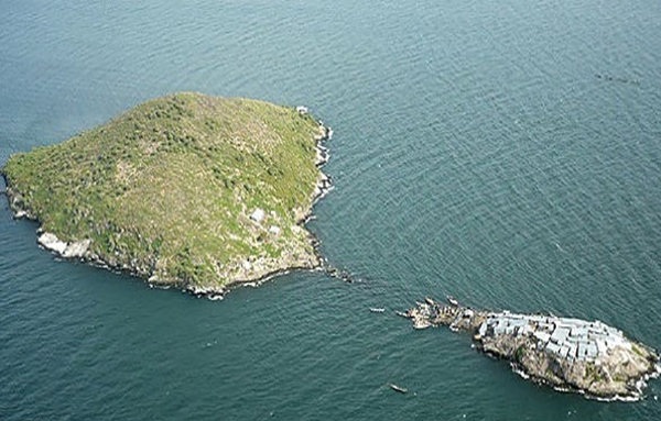 با شلوغ‌ترین جزیره جهان آشنا شوید +تصاویر