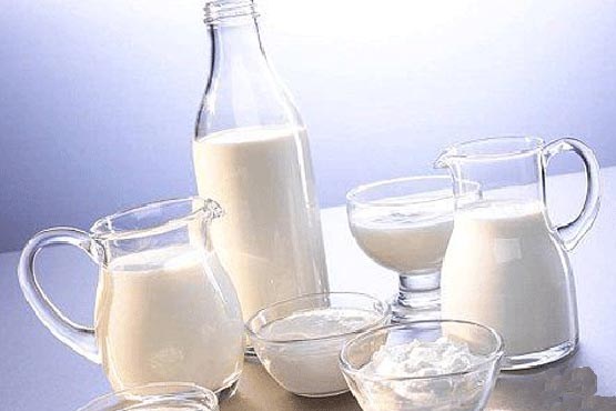 گزارشی از سرمایهگذاری در صنعت لبنیات گزارشی از سرمایهگذاری در صنعت لبنیات