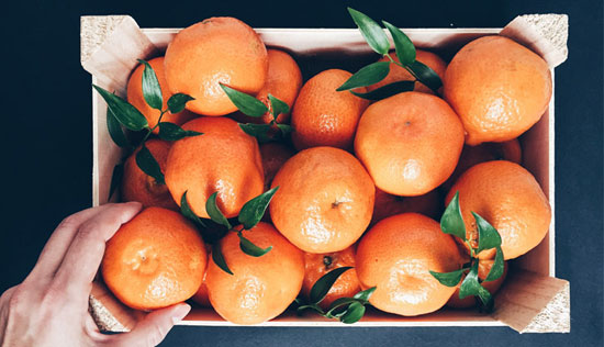 میان وعدههای مفید تابستانه برای کودکان میان وعدههای مفید تابستانه برای کودکان