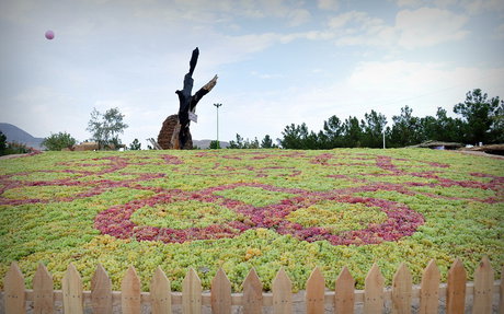 انگور ملایر جهانی می‌شود