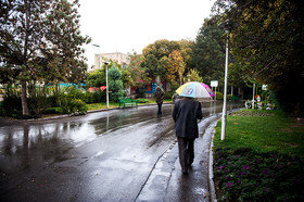 کاهش ۶۷ درصدی بارندگی نسبت به پارسال کاهش ۶۷ درصدی بارندگی نسبت به پارسال