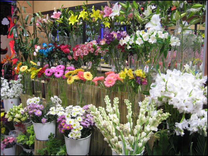 فقط برای عزا، گل میخرند فقط برای عزا، گل میخرند