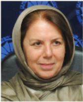 بخش خصوصی و دیپلماسی
