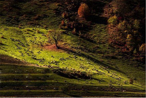 طبیعت پاییزی جنگل‌های ارسباران +تصاویر