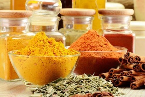 گیاهان به کمک گردشگری می‌آیند