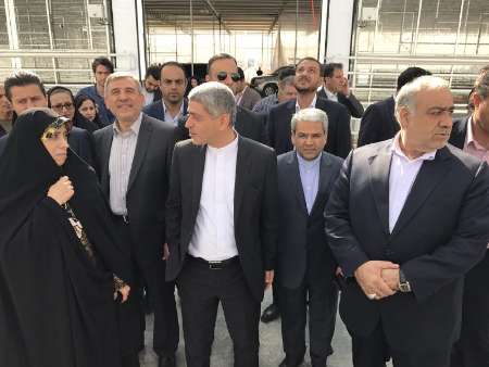 طیب نیا از مجتمع کشت و صنعت لرستان بازدید کرد طیب نیا از مجتمع کشت و صنعت لرستان بازدید کرد