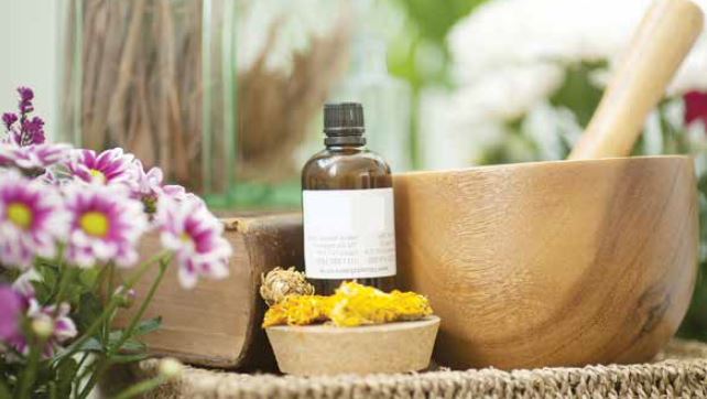واردات گیاهان دارویی نظاممند میشود واردات گیاهان دارویی نظاممند میشود