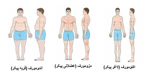  پیش بینی شخصیت از روی ظاهر بدن پیش بینی شخصیت از روی ظاهر بدن