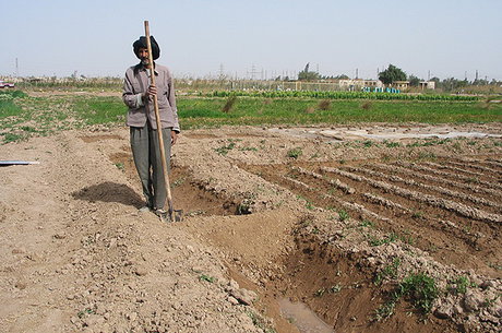 احیای ۲۹۵ هزار هکتار از اراضی خوزستان احیای ۲۹۵ هزار هکتار از اراضی خوزستان