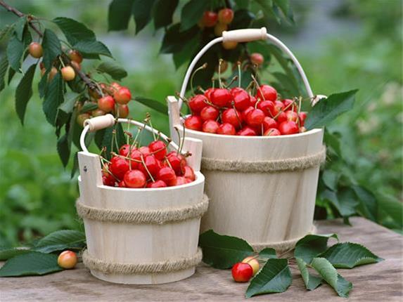 میوههایی که شما را از بیخوابی نجات میدهند! میوههایی که شما را از بیخوابی نجات میدهند!