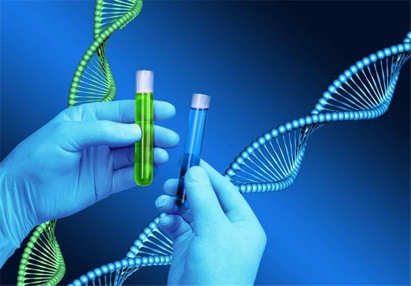 تاثیر مثبت ژن خوب در افزایش عمر تاثیر مثبت ژن خوب در افزایش عمر