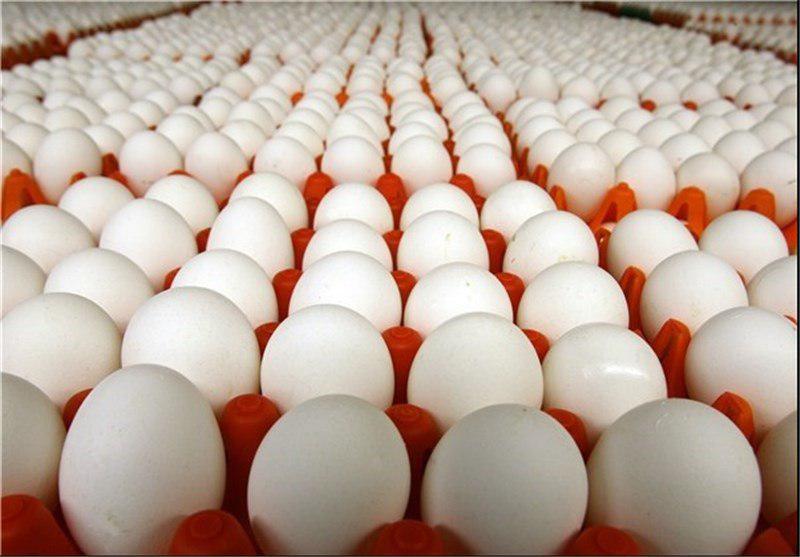بازار شب عید تخم مرغ ، مرغ و گوشت قرمز متعادل است بازار شب عید تخم مرغ ، مرغ و گوشت قرمز متعادل است