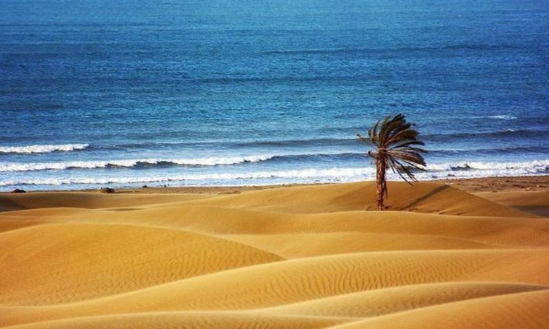 نوروز در سرزمین خیال و عجایب؛ چابهار