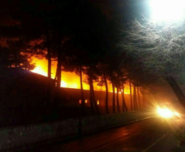 کارگاه مبلسازی طعمه حریق شد کارگاه مبلسازی طعمه حریق شد